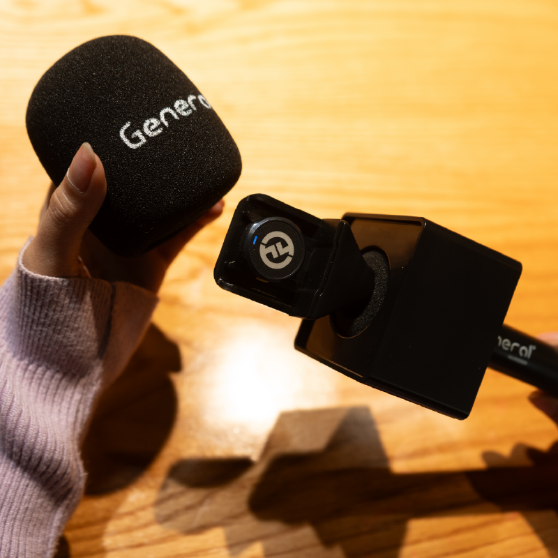 Fake Mic