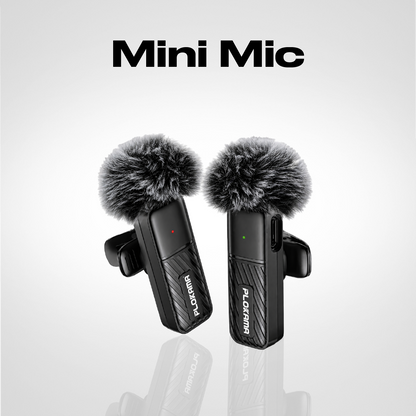 Mini Mic