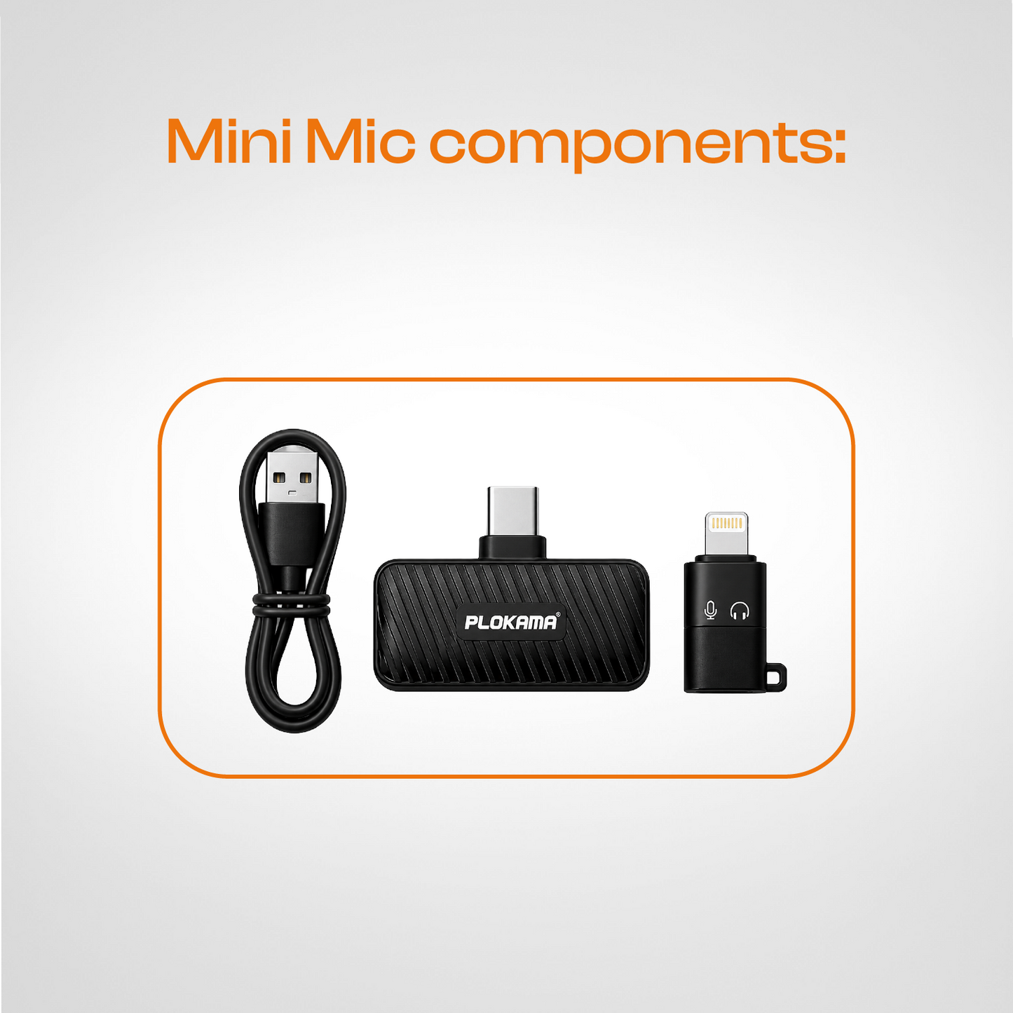 Mini Mic