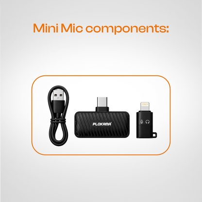 Mini Mic